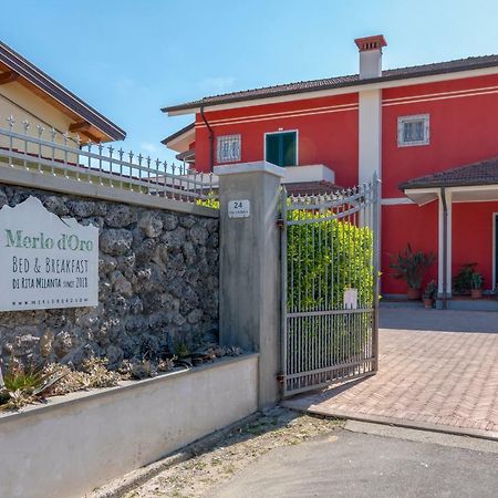 Merlo D'Oro Carrara Zewnętrze zdjęcie
