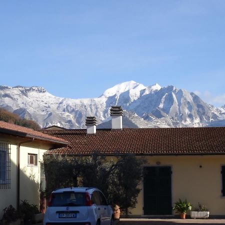 Merlo D'Oro Carrara Zewnętrze zdjęcie