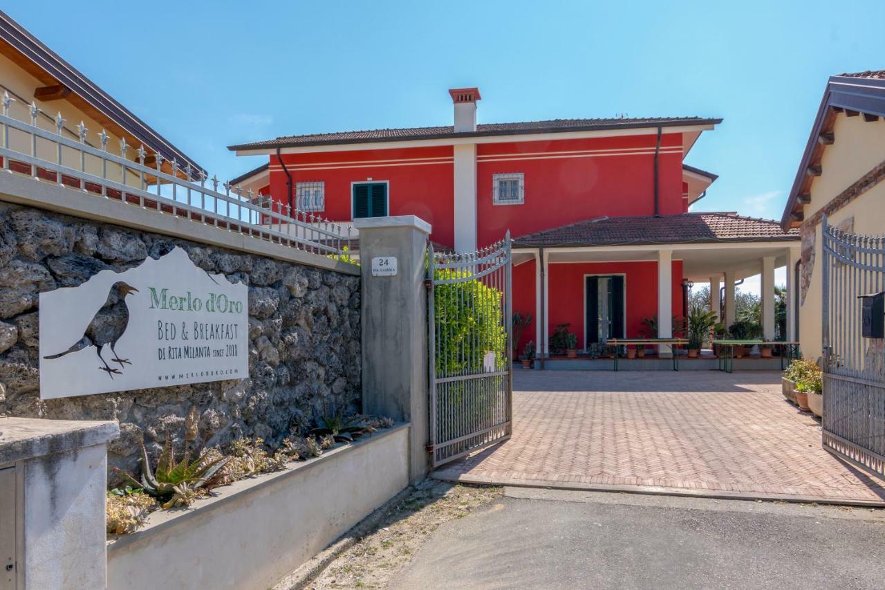 Merlo D'Oro Carrara Zewnętrze zdjęcie
